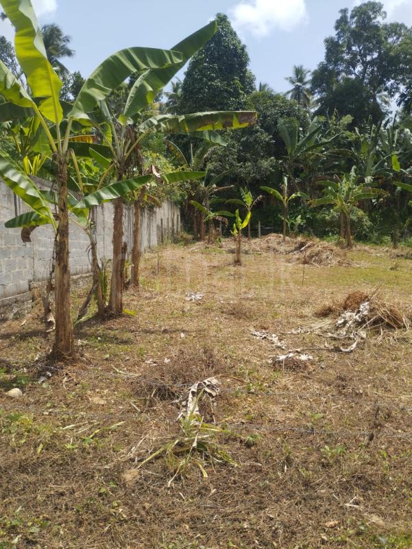 Commercial Land for Sale in Rambukkana