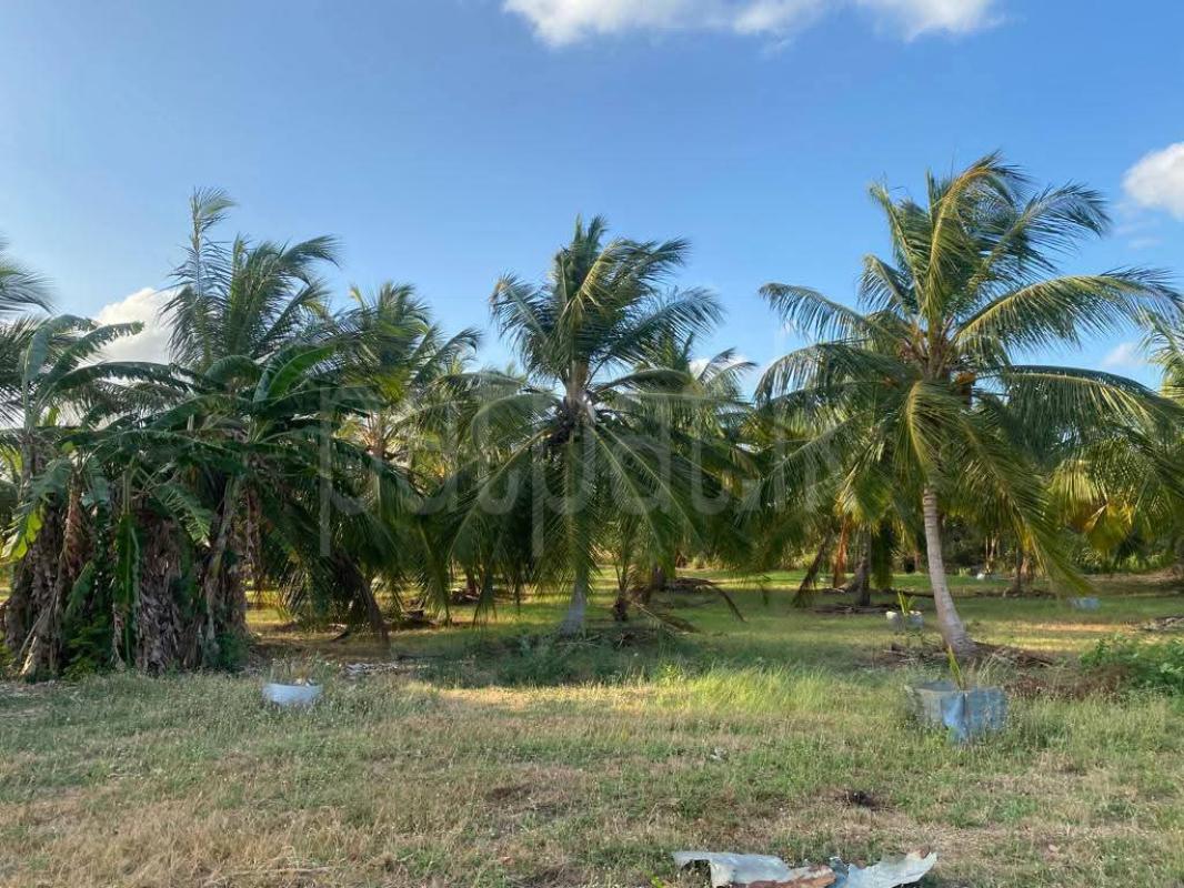 Agricultural Land for Sale in Kurunegala