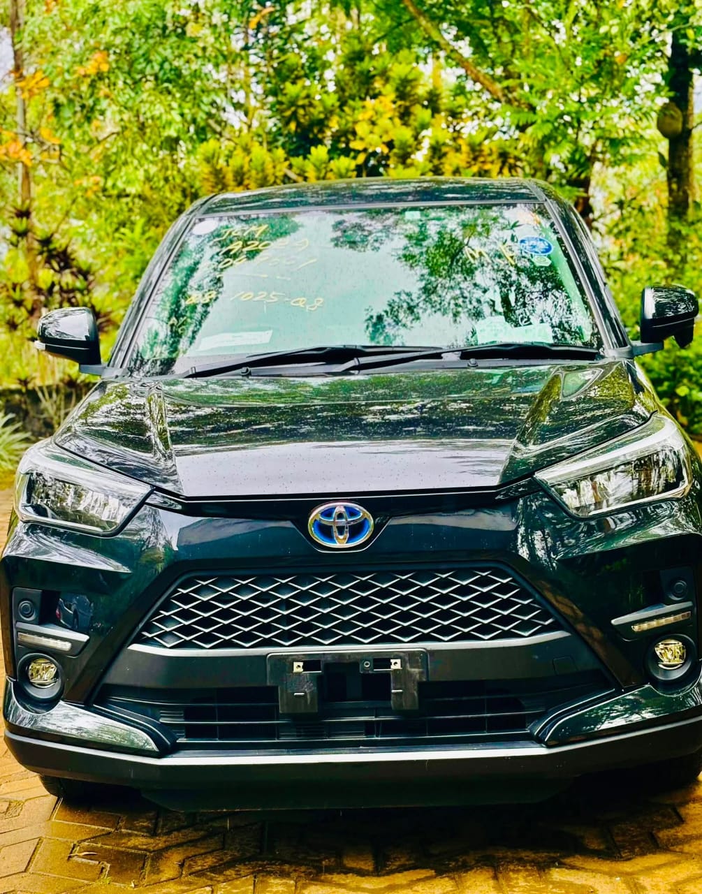 Toyota Raize 2023 ads-image-1