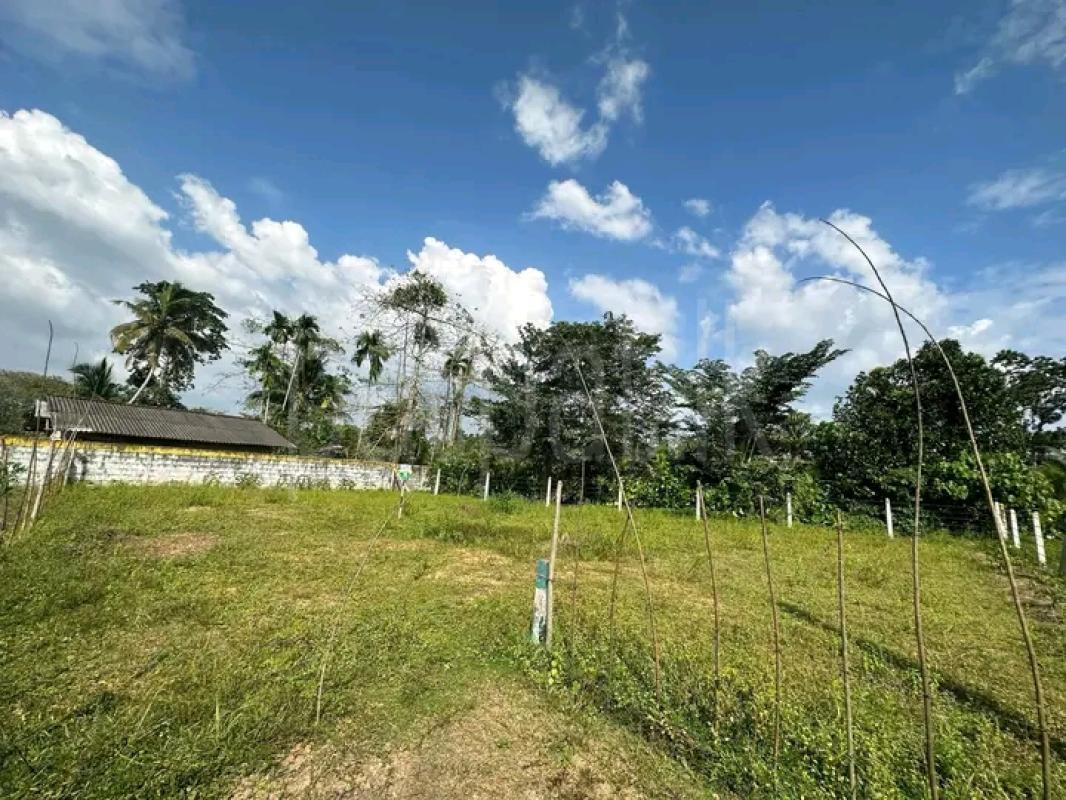 Commercial Land for Sale in Kahathuduwa