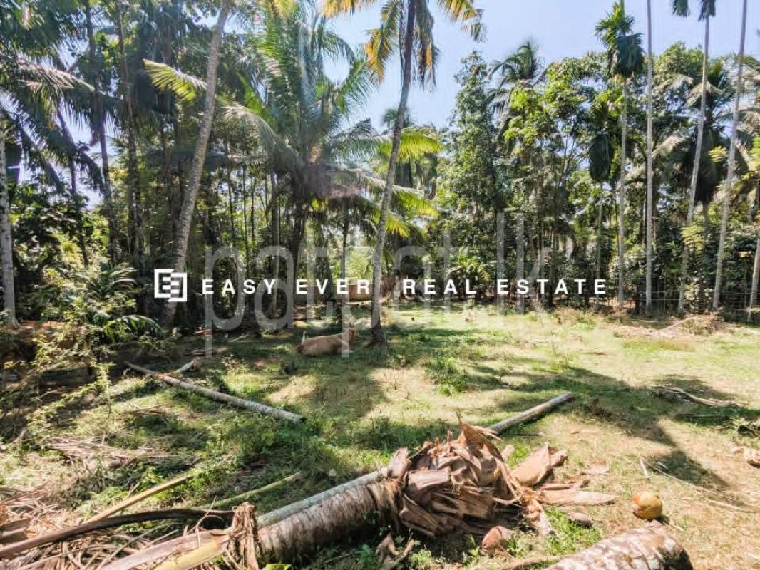 Residential Land for Sale in Athurugiriya