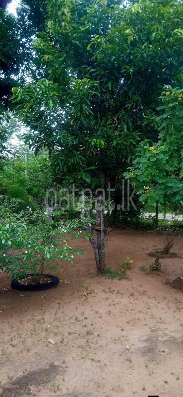 Residential Land for Sale in Kataragama