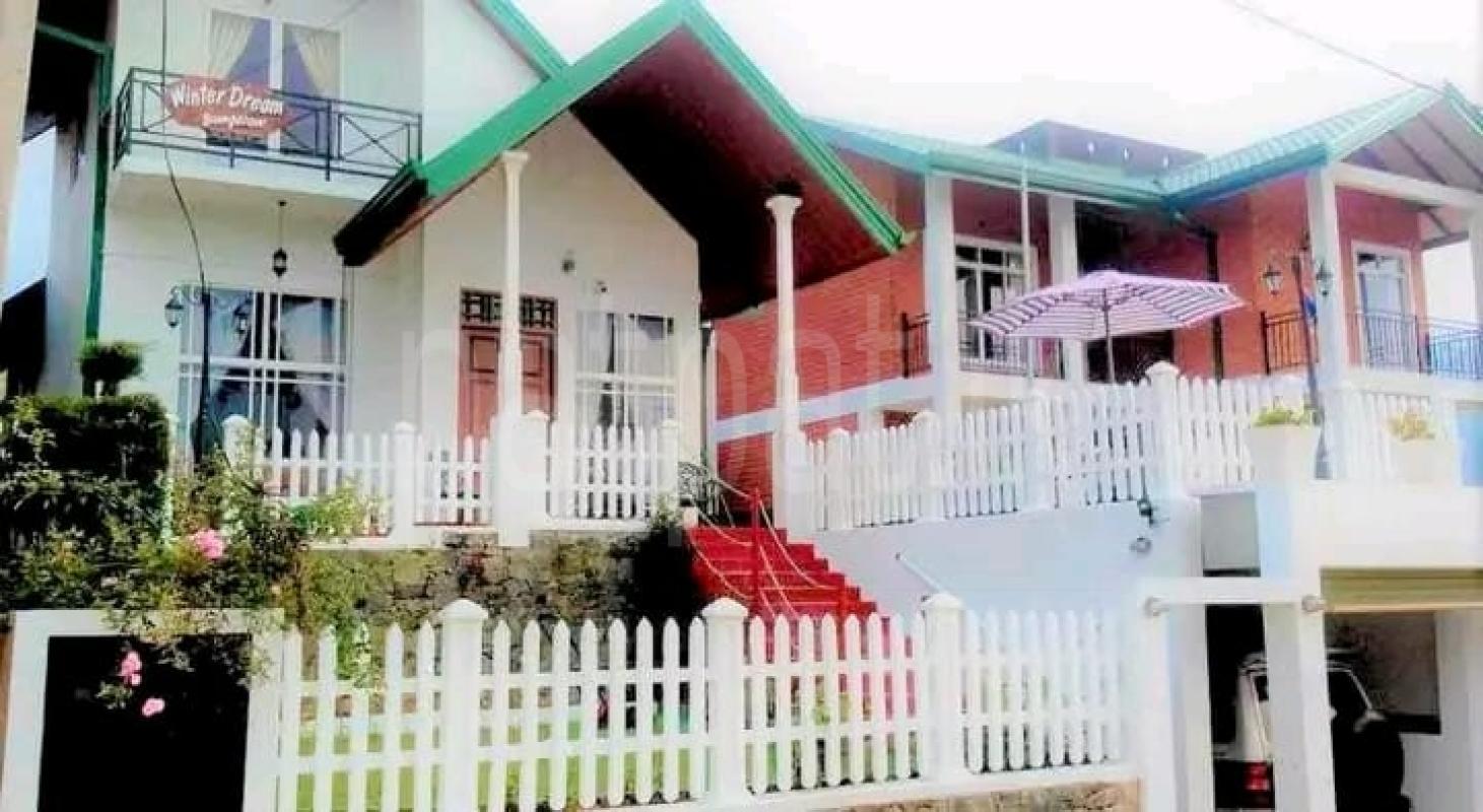 Advertisement image 6