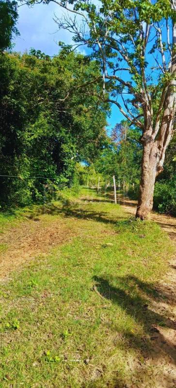 Residential Land for Sale in Kataragama