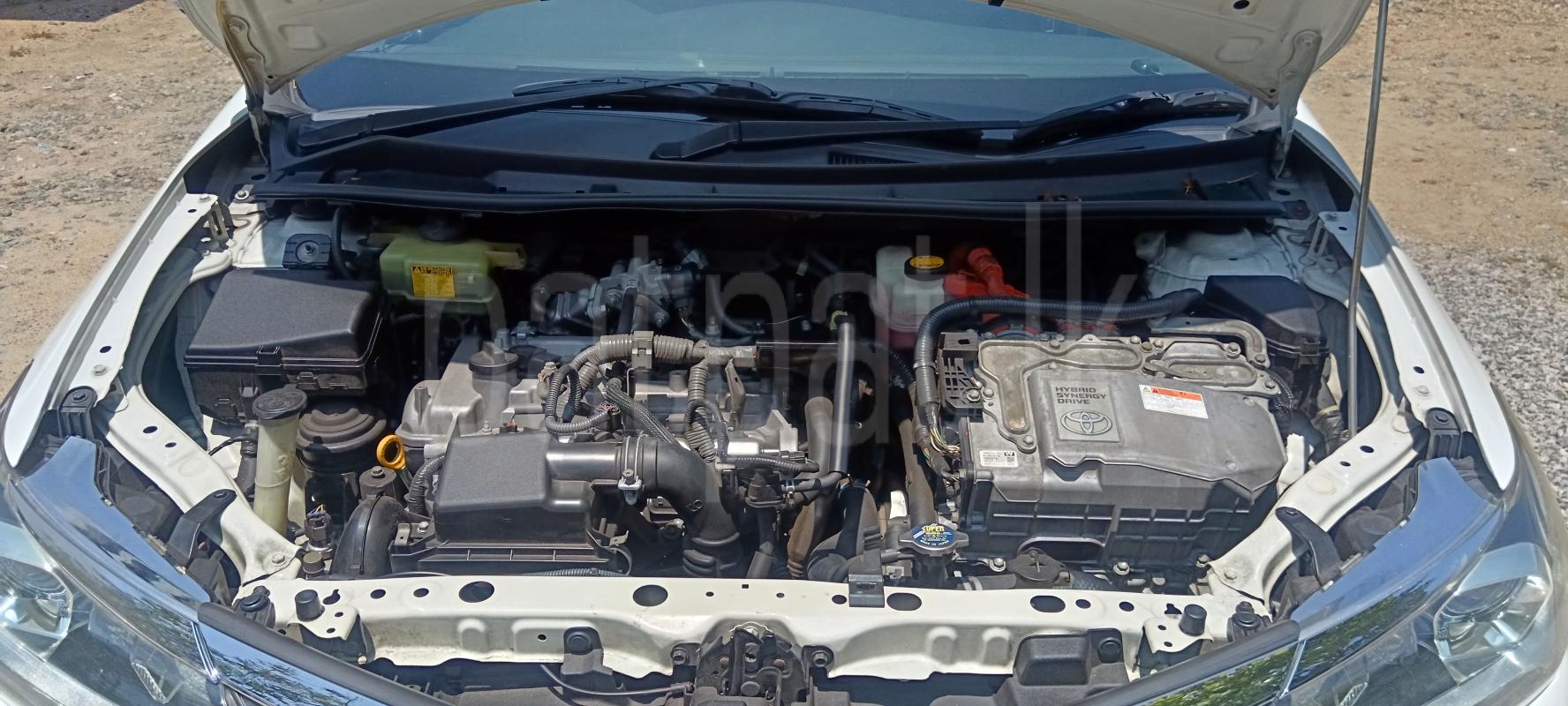 Advertisement image 6