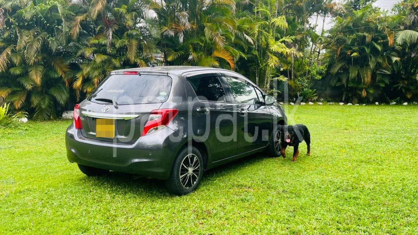 Toyota Vitz 2015 - Used Car sale in Sri Lanka - patpat.lk