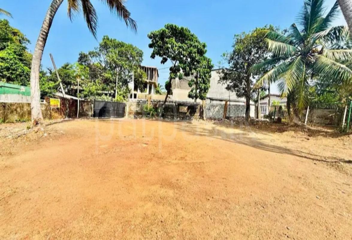 Commercial Land for Sale in Panadura ads-image-1