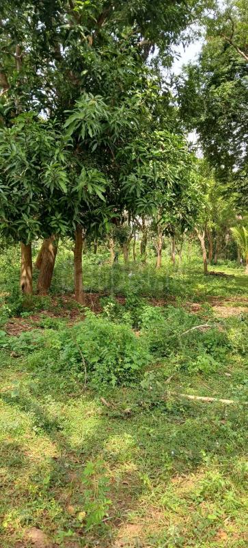 Residential Land for Sale in Kataragama