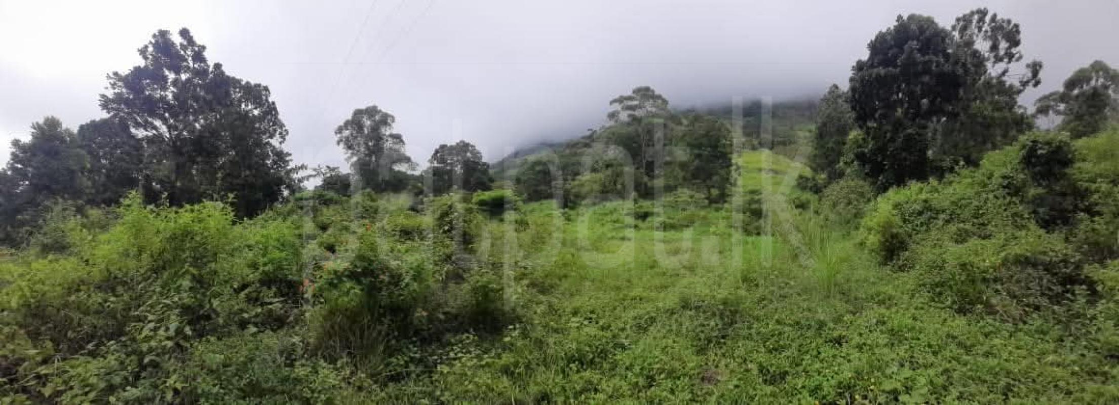 Commercial Land for Sale in Haputale
