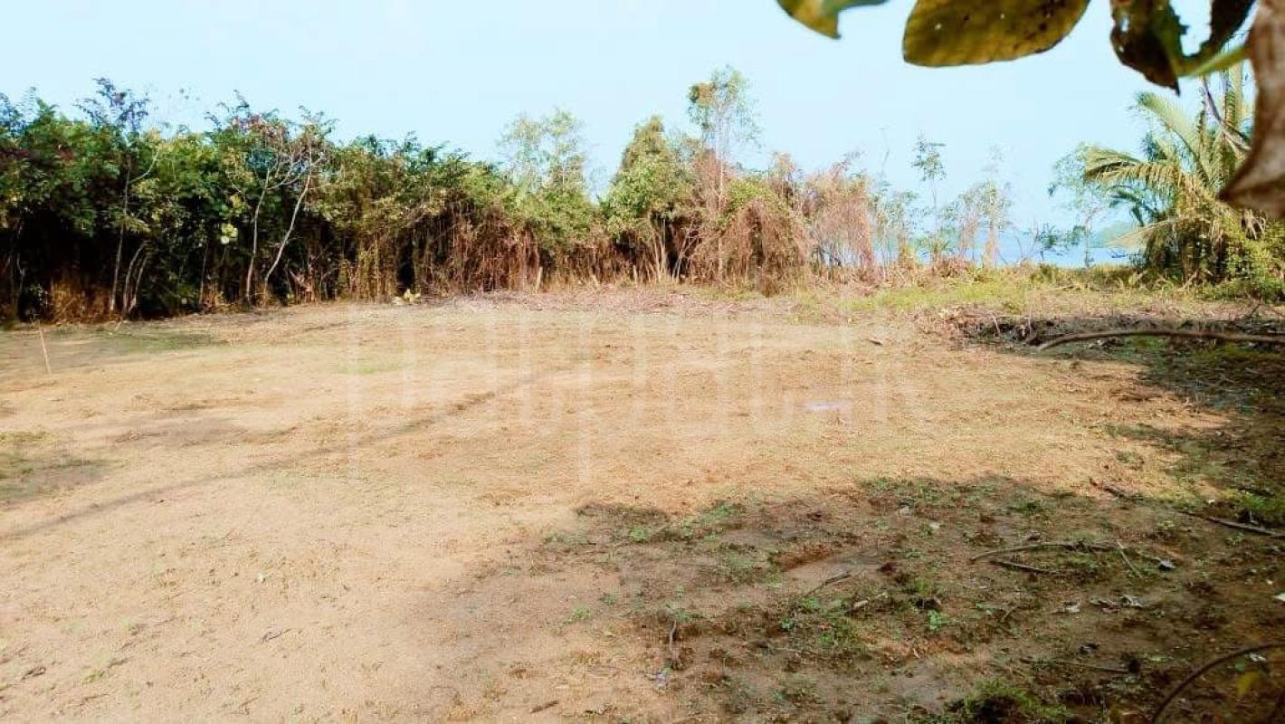 Agricultural Land for Sale in Panadura
