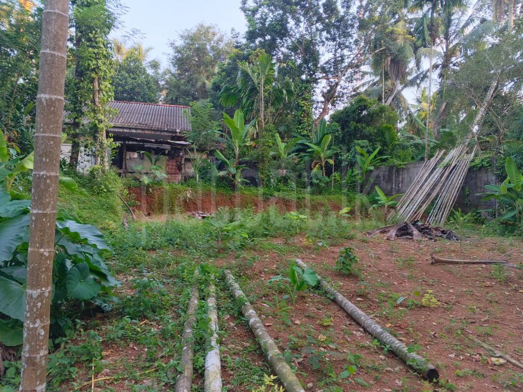 Agricultural Land for Sale in Delgoda