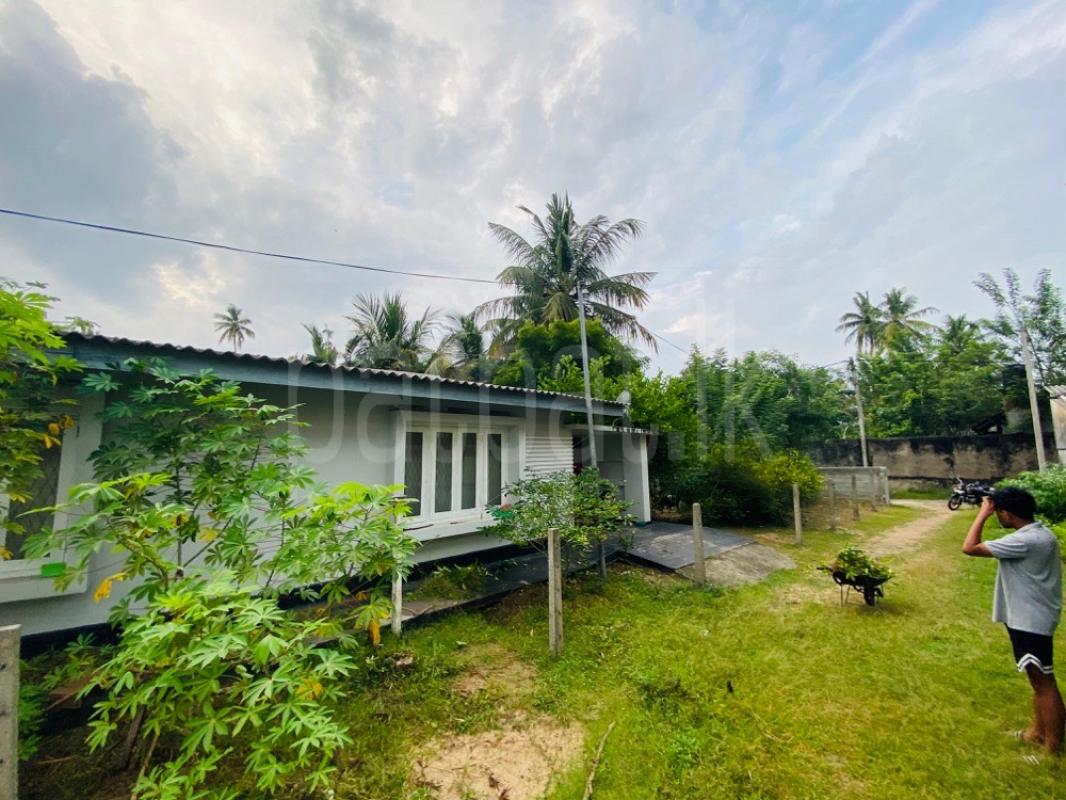 House for Sale in Tangalla ads-image-1