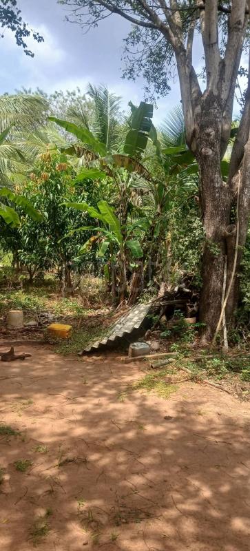 Agricultural Land for Sale in Kataragama