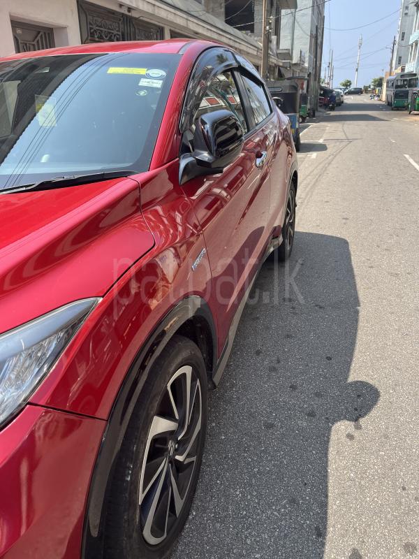 Advertisement image 4