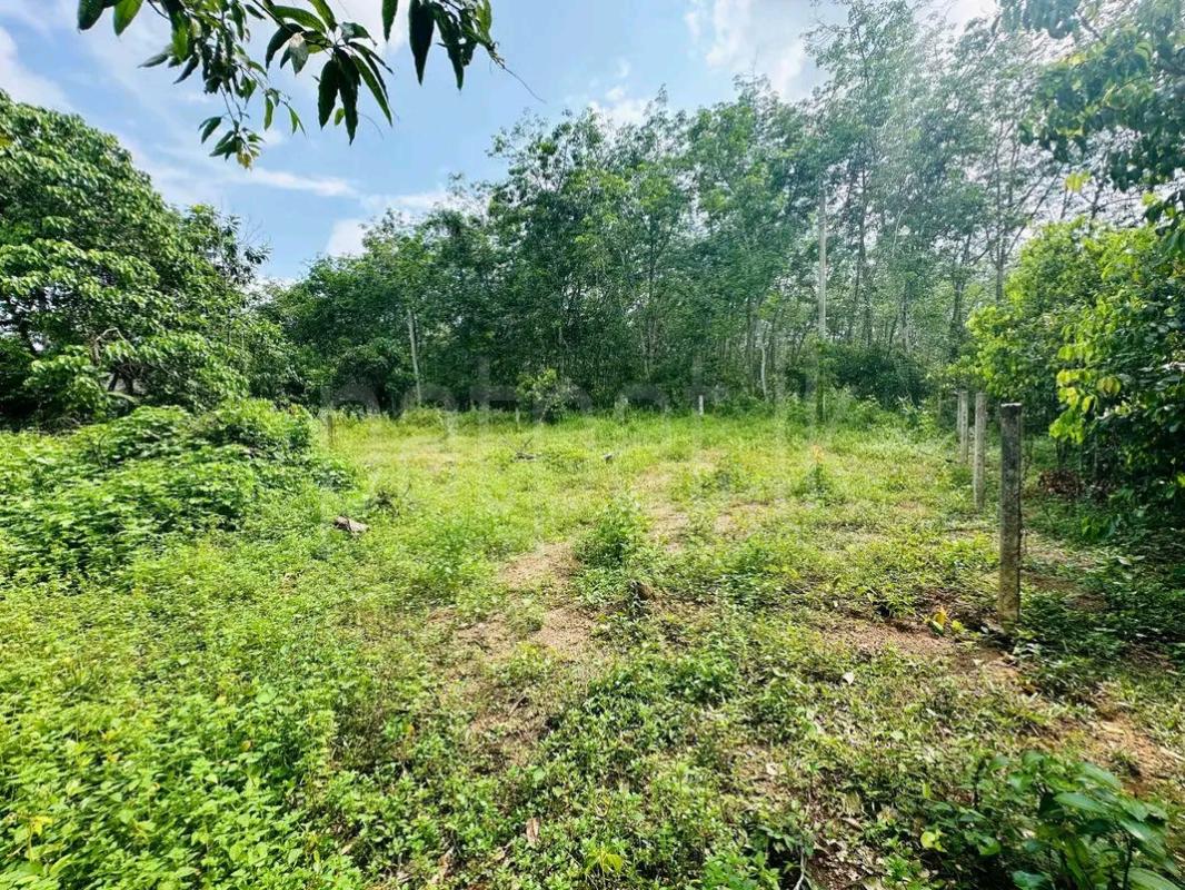 Residential Land for Sale in Panadura