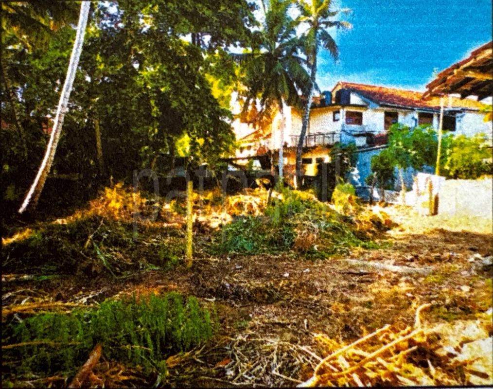 listing-image
