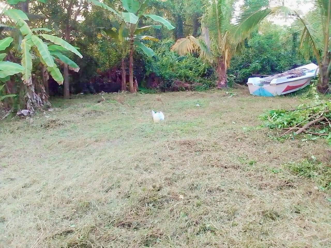 Agricultural Land for Sale in Panadura
