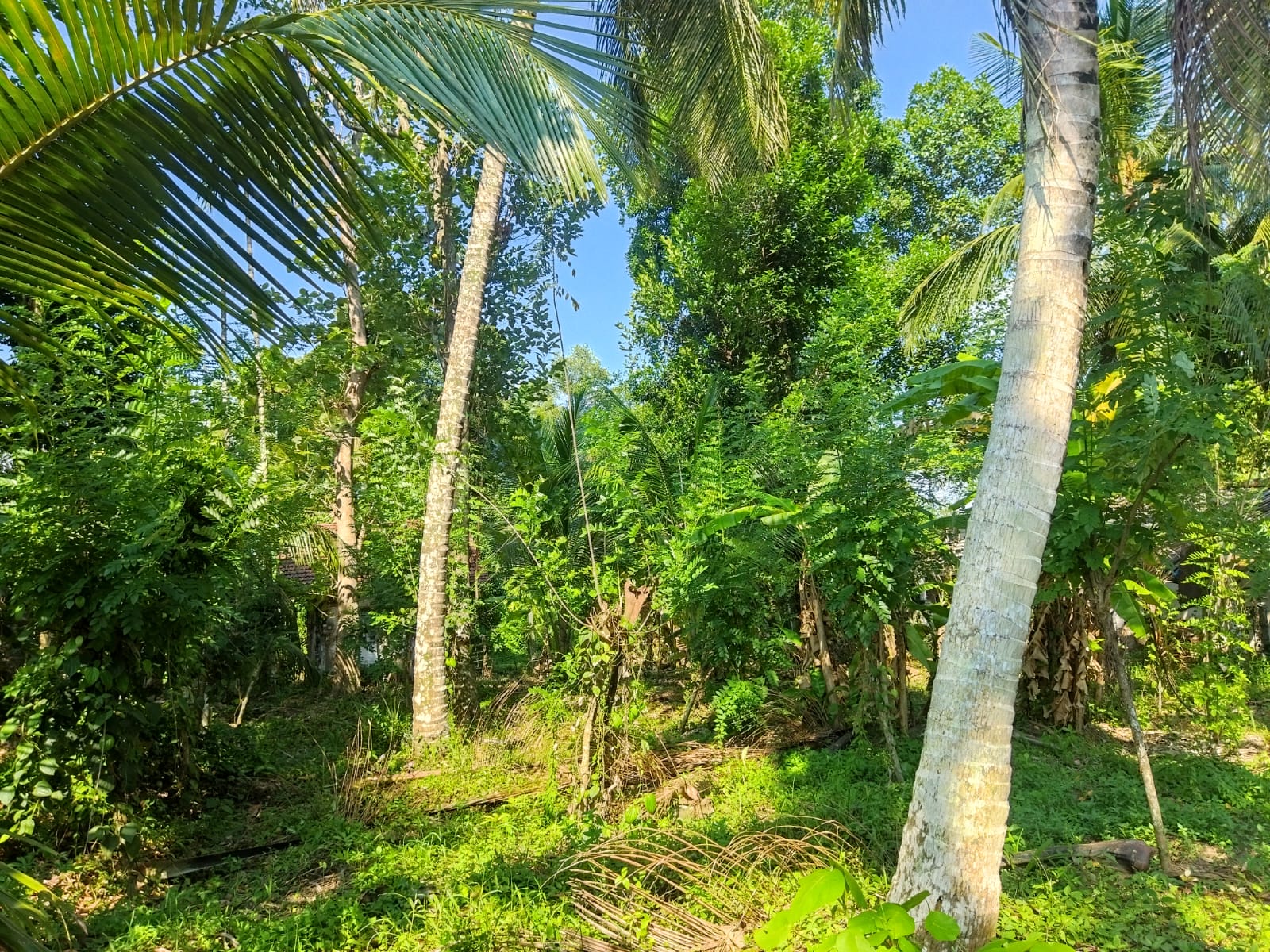 Residential Land for Sale in Panadura ads-image-1