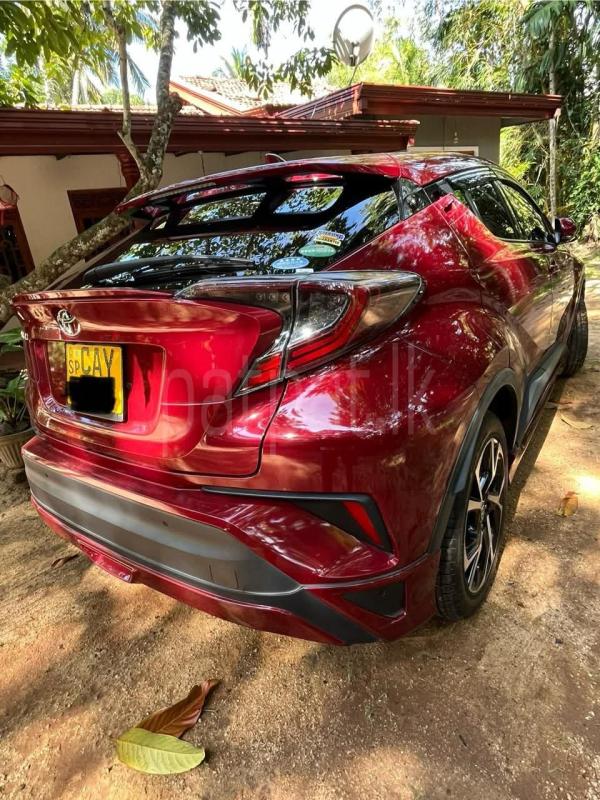 Advertisement image 3