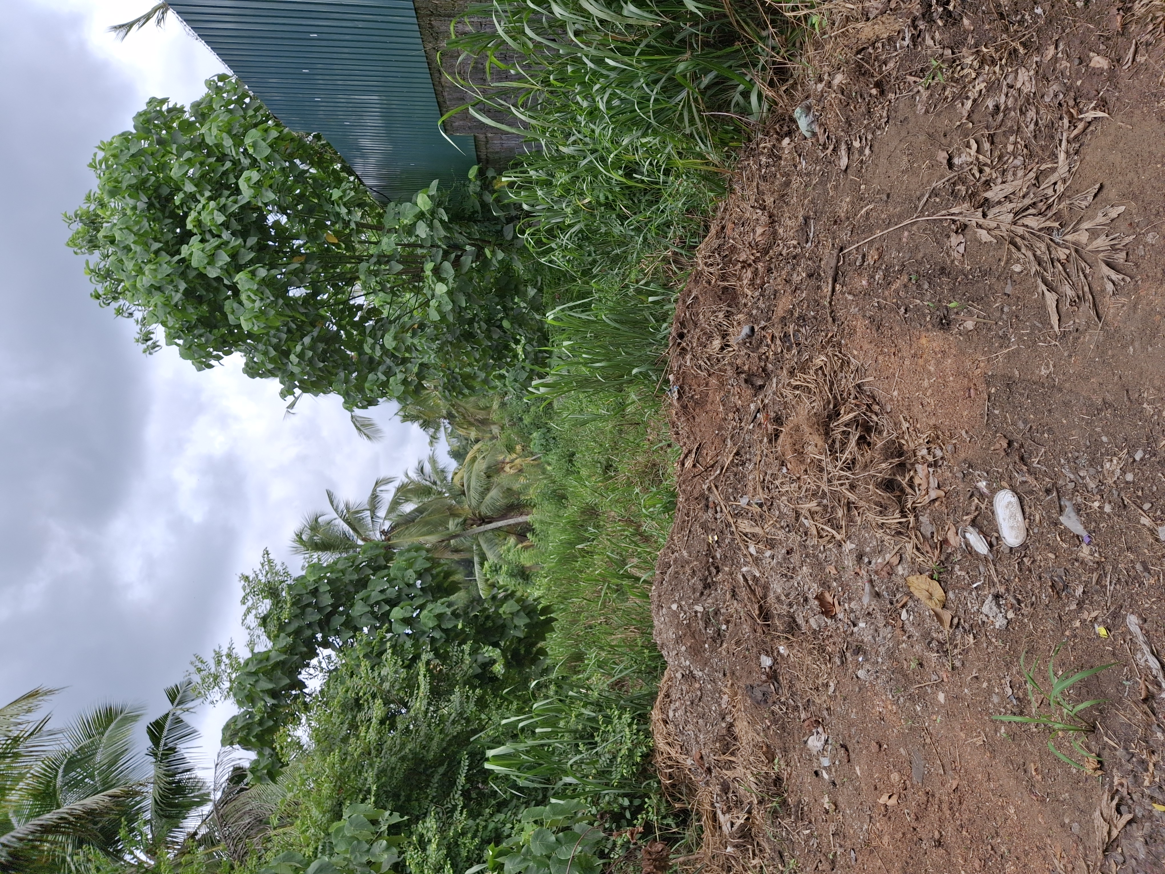 Residential Land for Sale in Nittambuwa ads-image-1