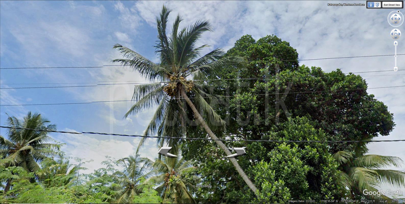 premium-listing-image