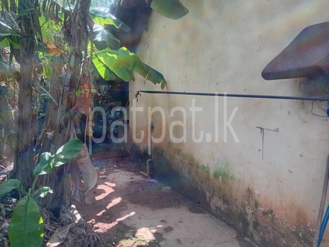 House for Sale in Panadura
