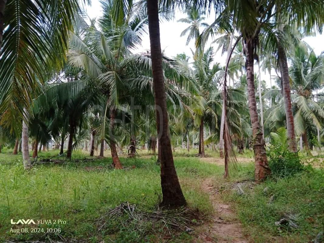 Agricultural Land for Sale in Mahakumbukkadawala