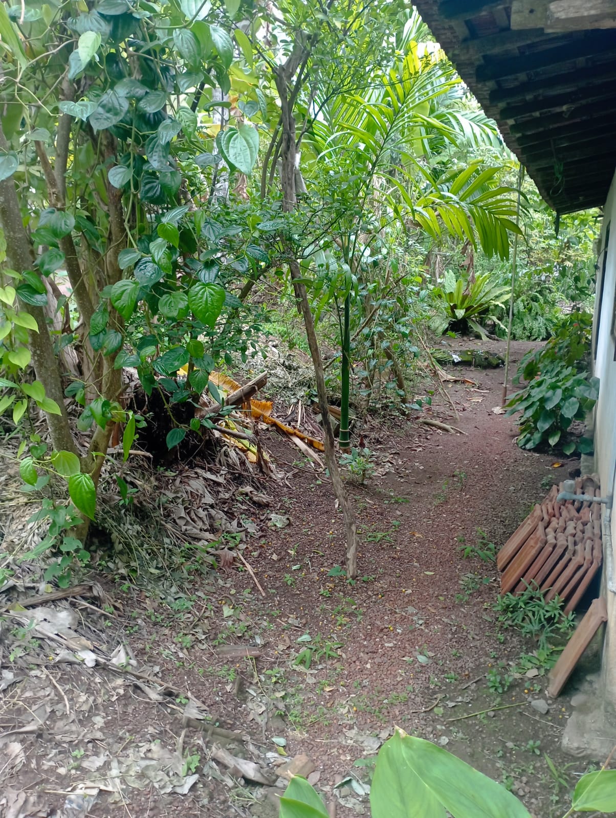 House for Sale in Ja-Ela