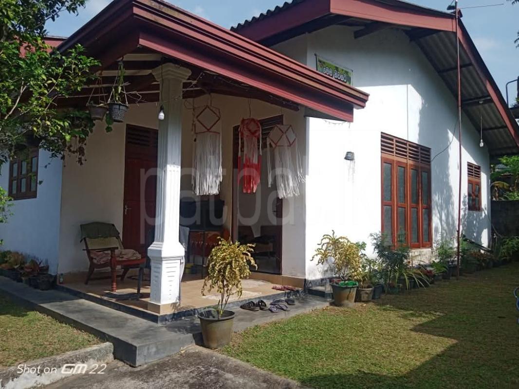 House for Rent in Homagama