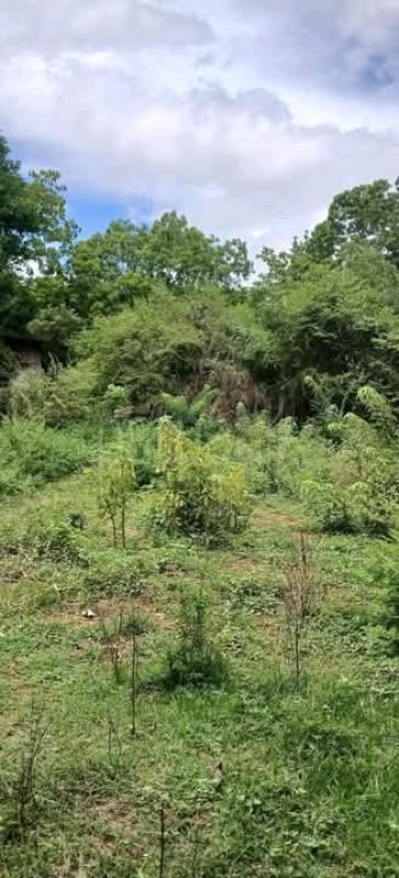 Commercial Land for Sale in Kataragama