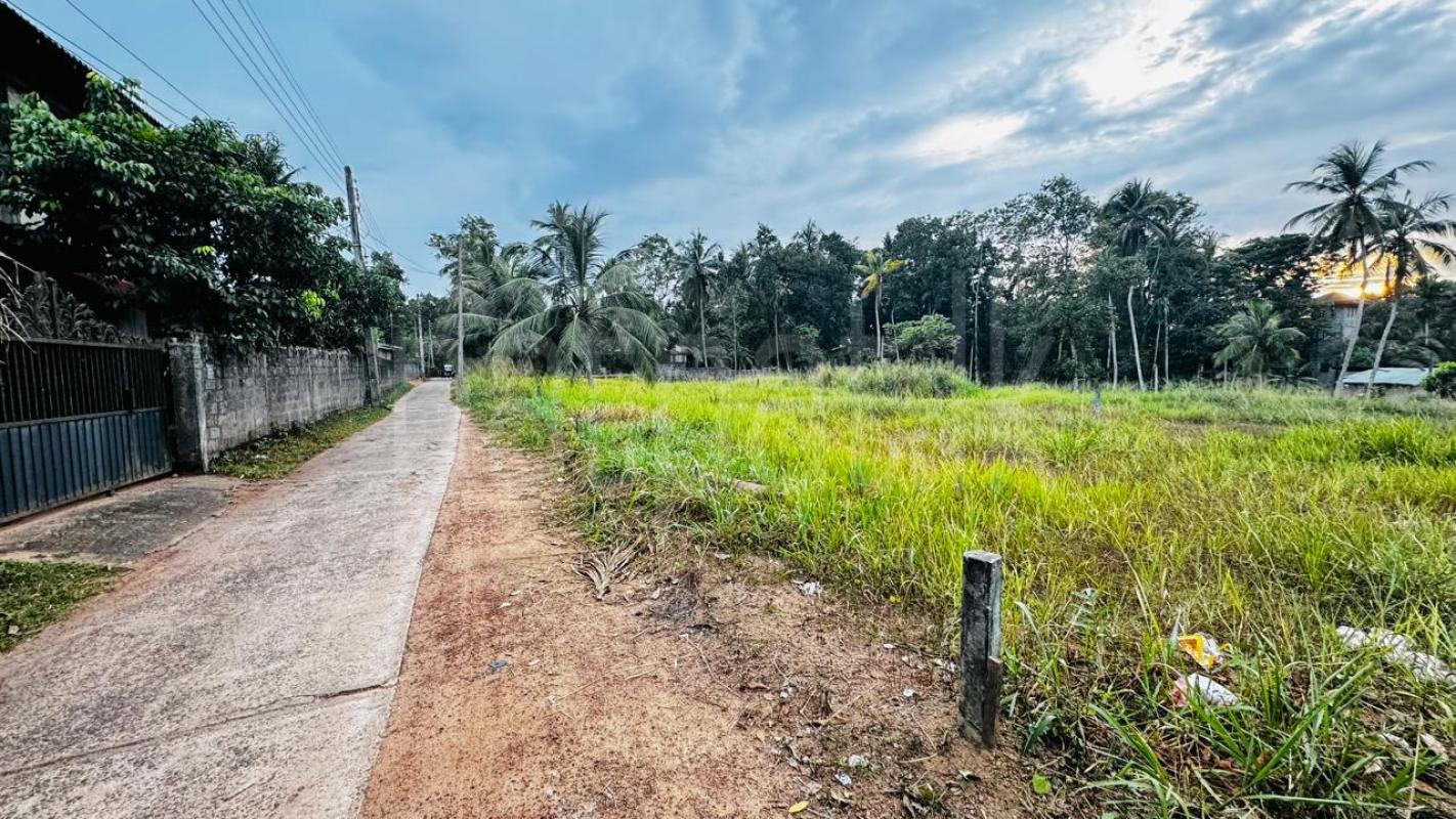 Residential Land for Sale in Kalagedihena