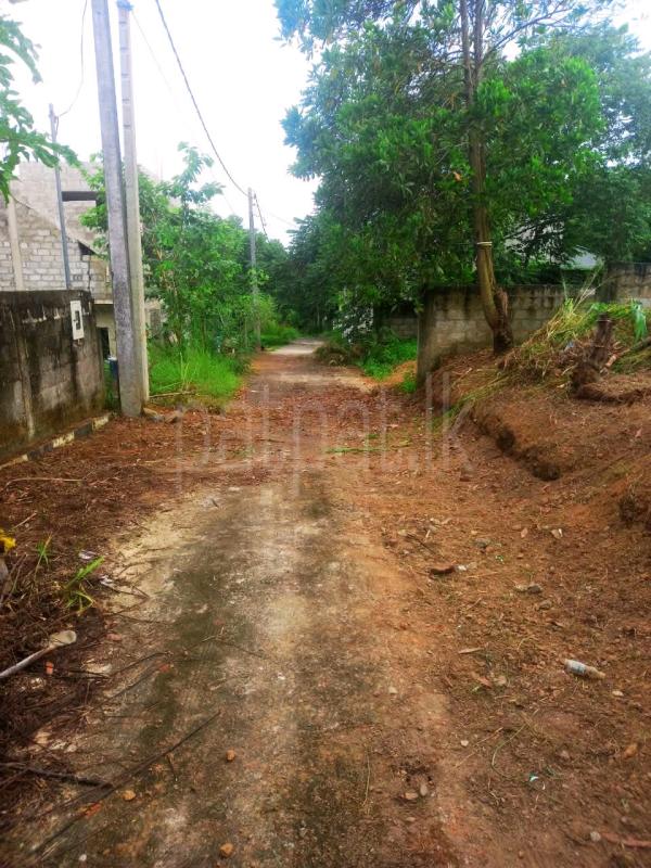Residential Land for Sale in Padukka ads-image-1
