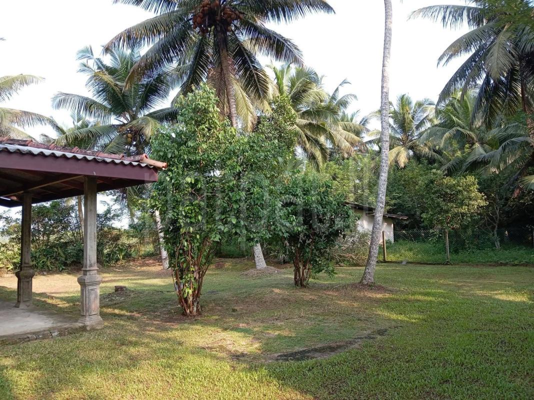 House for Sale in Bandaragama