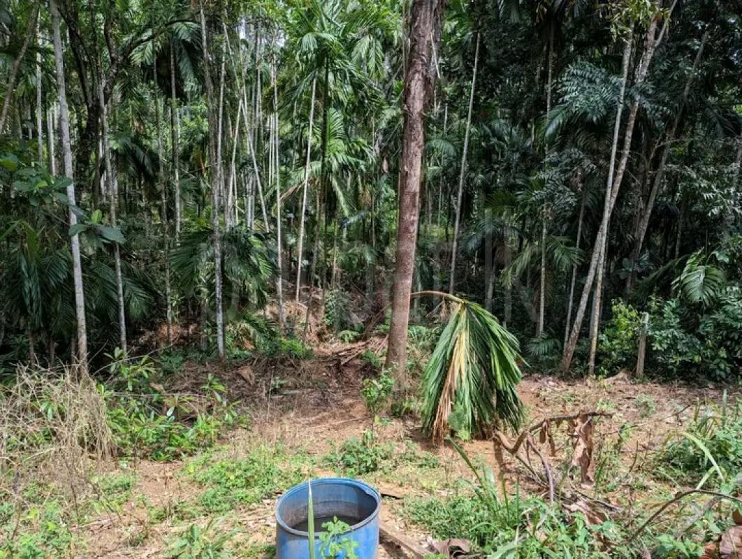 Commercial Land for Sale in Warakapola ads-image-1