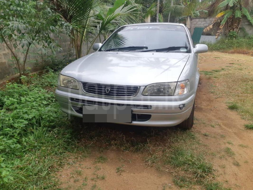 Advertisement image 1