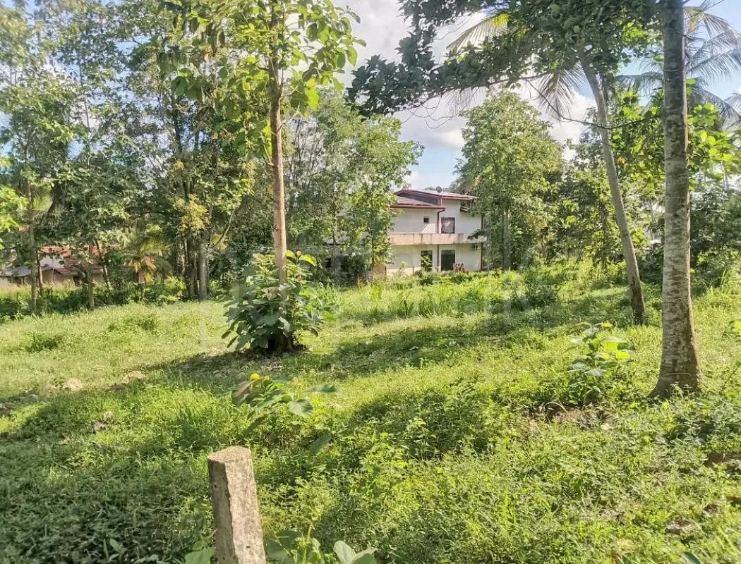 Agricultural Land for Sale in Veyangoda