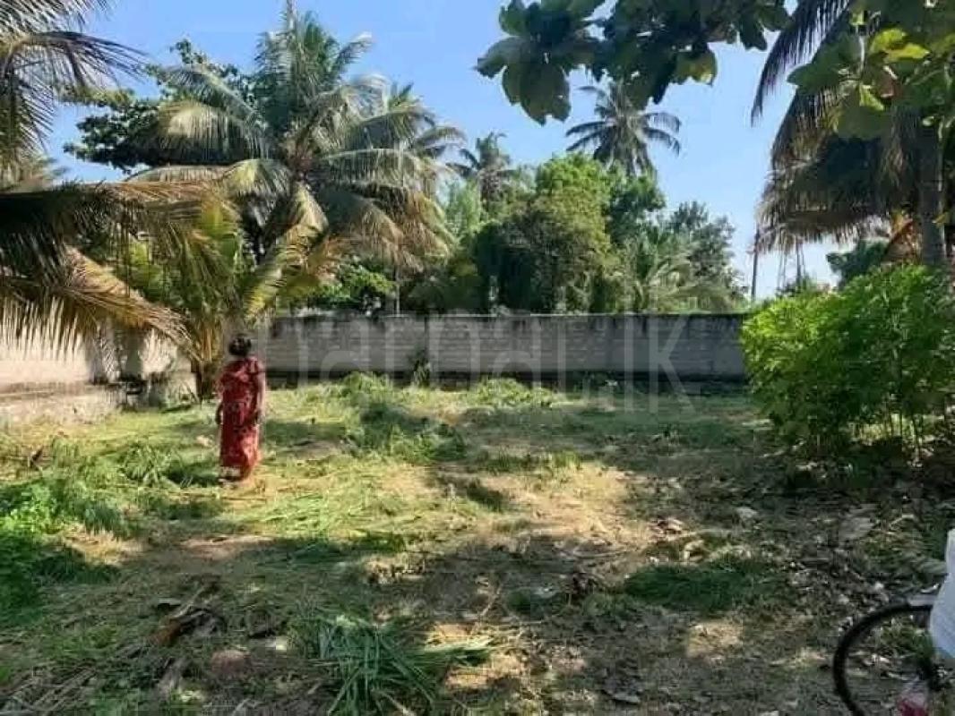 Commercial Land for Sale in Negombo ads-image-1