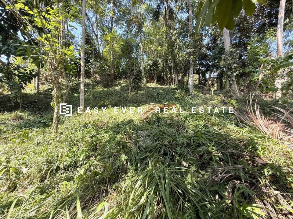 Residential Land for Sale in Nittambuwa