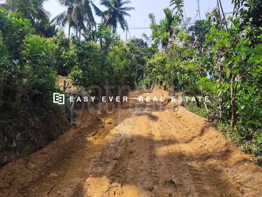 Residential Land for Sale in Ratnapura