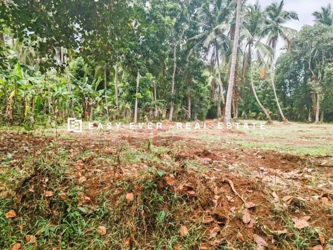 Commercial Land for Sale in Minuwangoda
