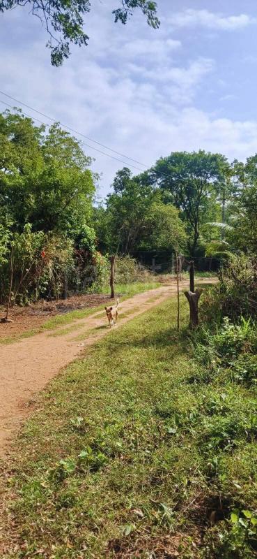 Residential Land for Sale in Kataragama
