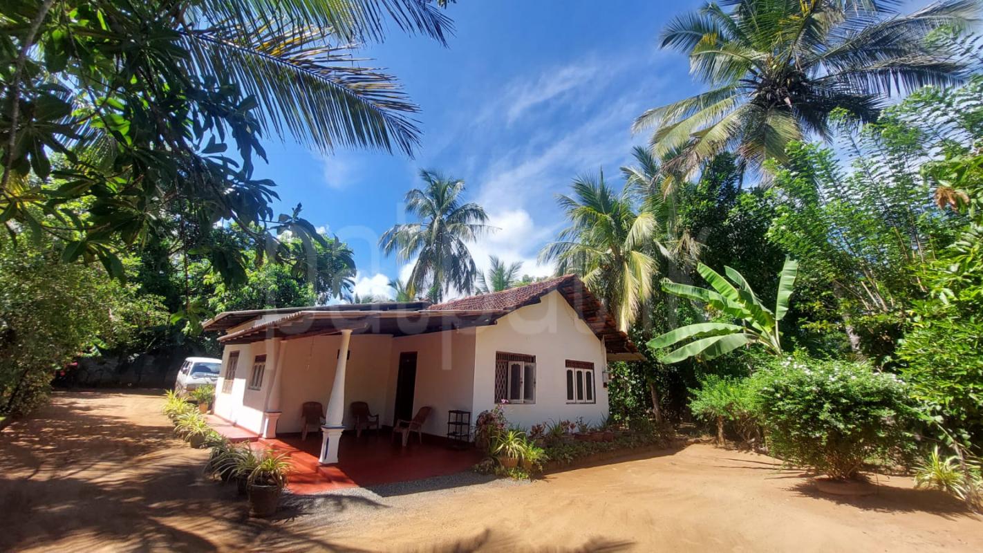 House for Sale in Udawalawe ads-image-1