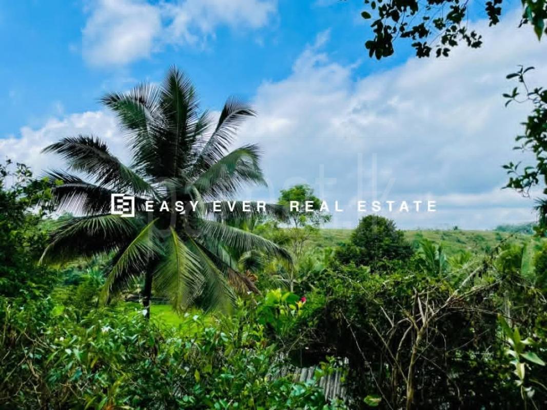 House for Sale in Nittambuwa