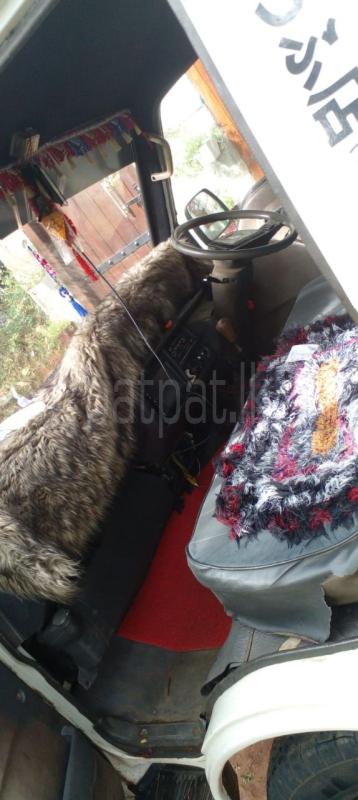 Advertisement image 5