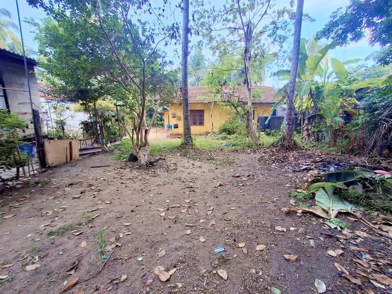 Agricultural Land for Sale in Panadura