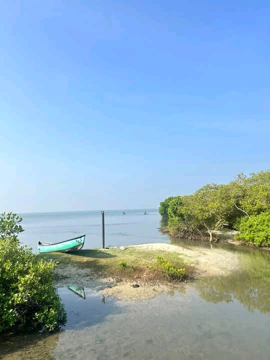 Commercial Land for Sale in Kalpitiya