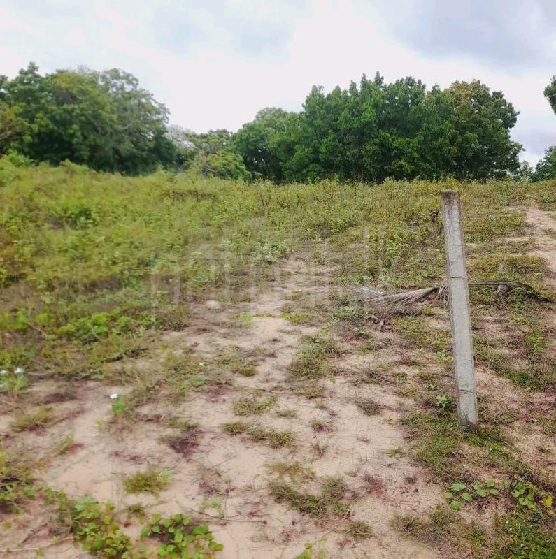 Residential Land for Sale in Weligama ads-image-1
