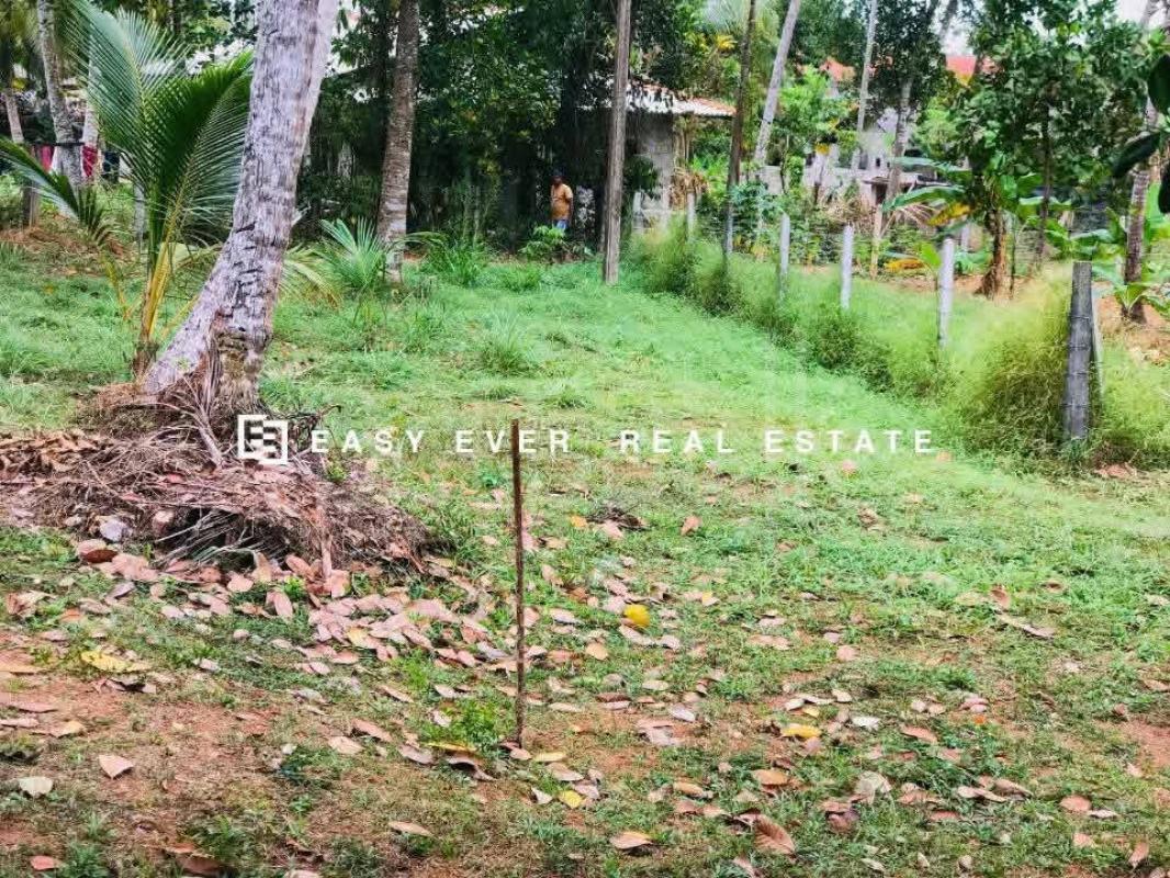 Residential Land for Sale in Batuwatta