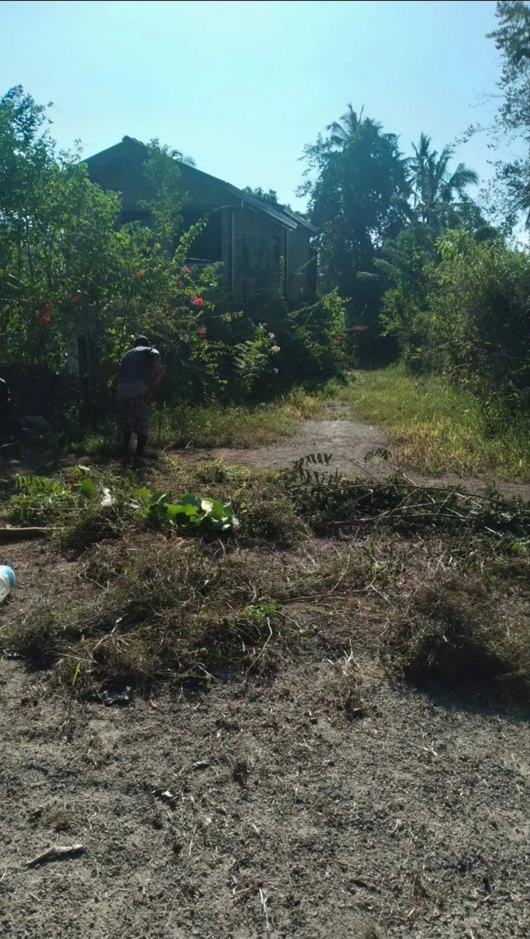 Commercial Land for Sale in Mirissa