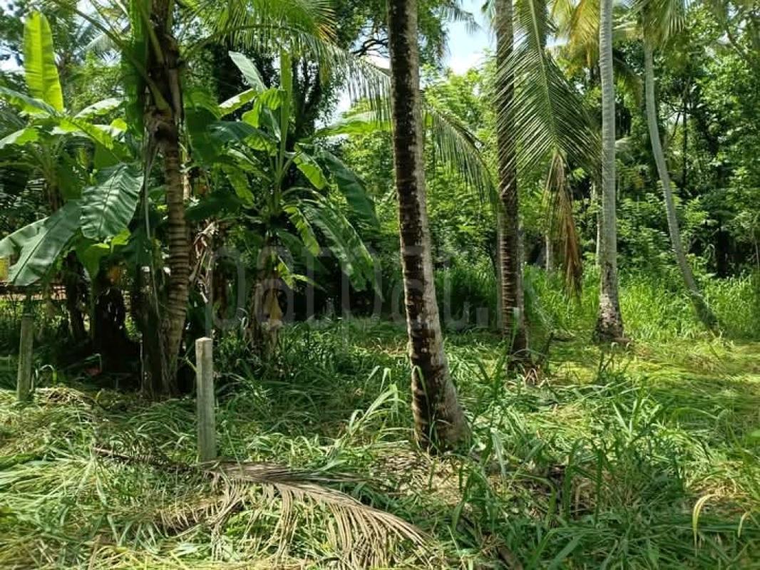 Commercial Land for Sale in Narammala